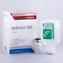 product name